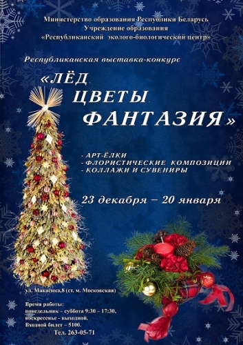 Куда пойти с ребенком 13-19 января? Куда пойти с ребенком 13-19 января?