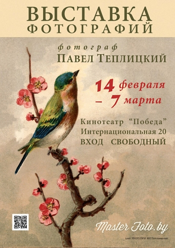 Куда пойти с ребенком 17 – 23 февраля Куда пойти с ребенком 17 – 23 февраля