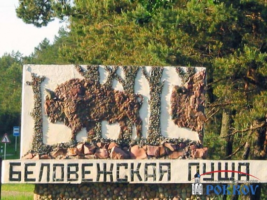 В Беловежской пуще появился новый маршрут «Пущанские робинзоны» В Беловежской пуще появился новый маршрут «Пущанские робинзоны»