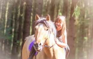 Частная конюшня "Хрустальная подкова" Частная конюшня "Хрустальная подкова"