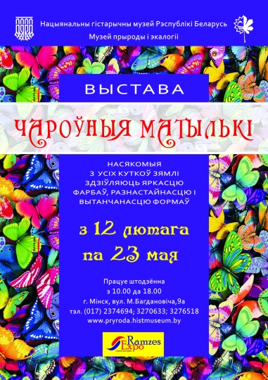 Куда сходить с ребенком в марте? Куда сходить с ребенком в марте?
