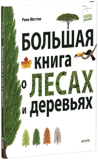 Читаем о деревьях: 5 книг о растениях для детей Читаем о деревьях: 5 книг о растениях для детей