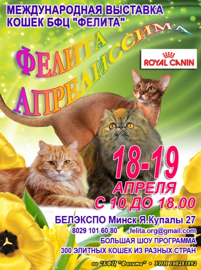 Куда сходить с ребенком на неделе 13 – 19 апреля? Куда сходить с ребенком на неделе 13 – 19 апреля?