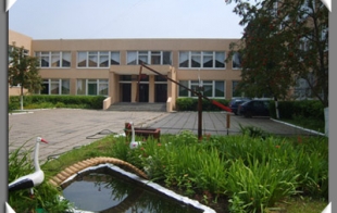 Средняя школа № 13 Средняя школа № 13