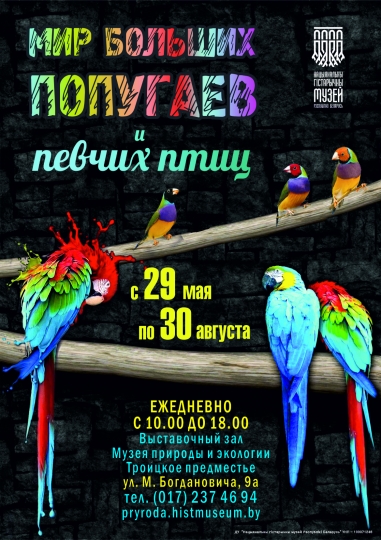 Куда сходить с ребенком на неделе 8 – 14 июня? Куда сходить с ребенком на неделе 8 – 14 июня?