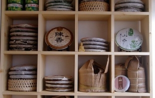 ������ ������� �������