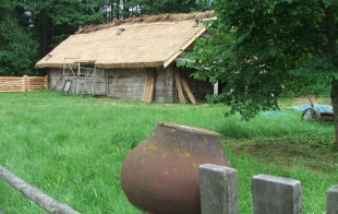 ������������ �������� �������������