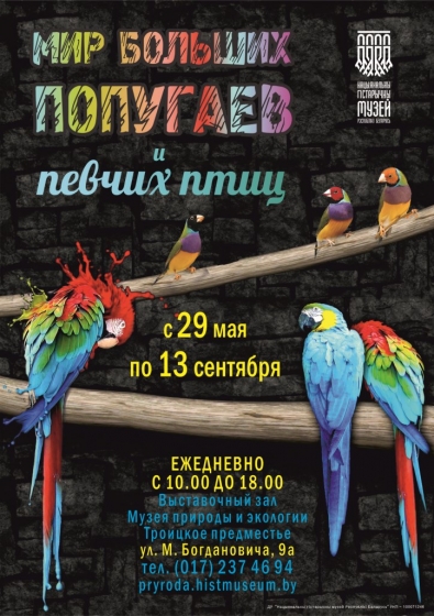 Выставка «Мир больших попугаев и певчих птиц» Выставка «Мир больших попугаев и певчих птиц»