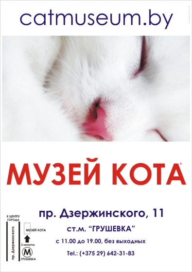 В Минске появится «Музей кота» В Минске появится «Музей кота»