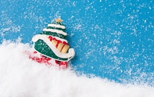 ����������� ����: 40 ���� ��� �����������