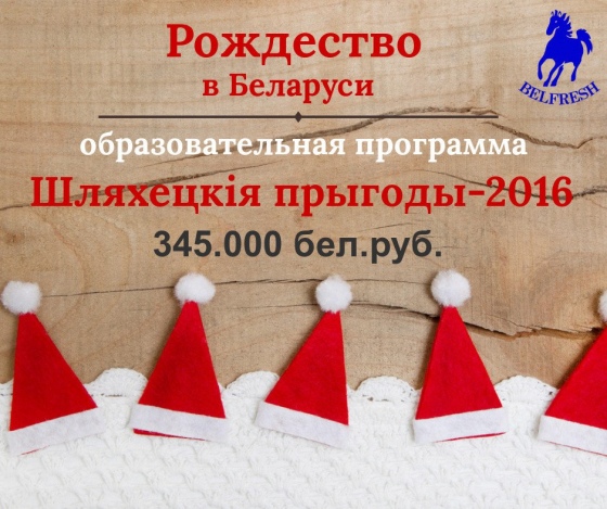 Куда сходить с ребенком в январе 2016 года? Куда сходить с ребенком в январе 2016 года?