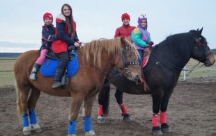 Конный клуб  «Мечта Детства» Конный клуб  «Мечта Детства»