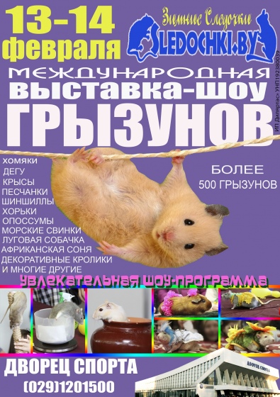 Куда сходить с ребенком на неделе 8 – 14 февраля? Куда сходить с ребенком на неделе 8 – 14 февраля?