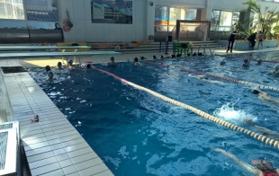 �������� �������� �����