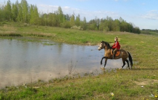 Конный клуб "Halfter"  (Хальфтер) Конный клуб "Halfter"  (Хальфтер)