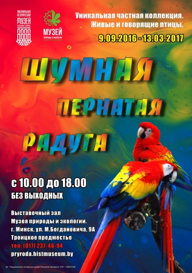 Выставка «Шумная пернатая радуга» Выставка «Шумная пернатая радуга»