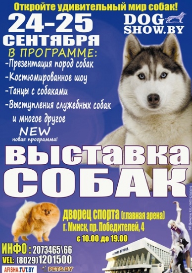 Куда пойти с ребенком на неделе 19-25 сентября? Куда пойти с ребенком на неделе 19-25 сентября?