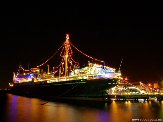 Мастер-класс по флористике Мастер-класс по флористике