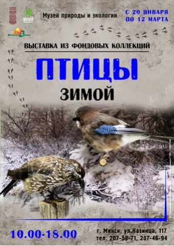 Куда сходить с ребенком в феврале? Куда сходить с ребенком в феврале?