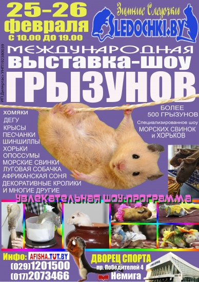 Выставка «Зимние следочки-2017» Выставка «Зимние следочки-2017»