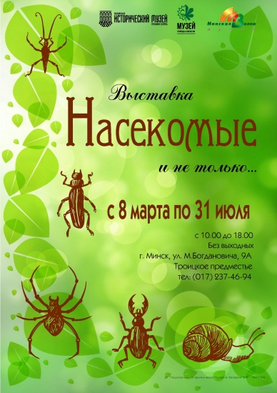 Куда сходить с ребенком на неделе 13-19 марта? Куда сходить с ребенком на неделе 13-19 марта?