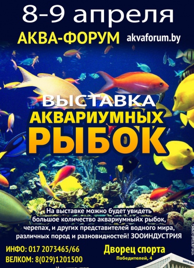 Куда сходить с ребенком на неделе 3-9 апреля? Куда сходить с ребенком на неделе 3-9 апреля?