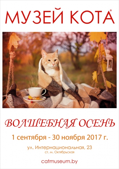 Куда сходить с ребенком на неделе 23-29 октября? Куда сходить с ребенком на неделе 23-29 октября?