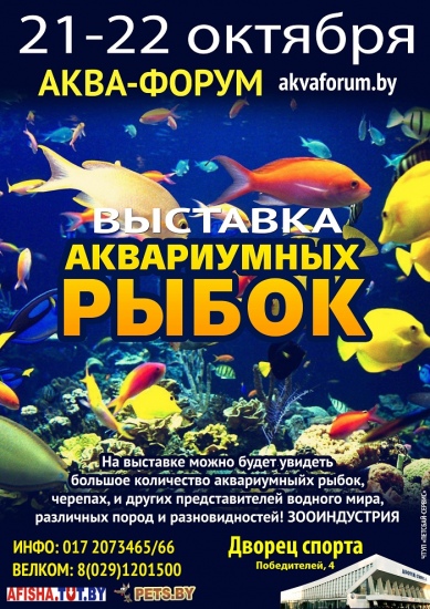 Куда сходить с ребенком на неделе 16-22 октября? Куда сходить с ребенком на неделе 16-22 октября?