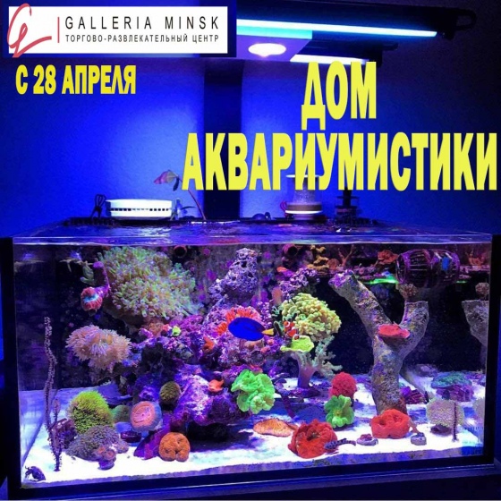 Куда сходить с ребенком на неделе 14-20 мая? Куда сходить с ребенком на неделе 14-20 мая?