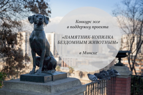 Конкурс эссе в поддержку проекта «Памятник-копилка бездомным животным в Минске» Конкурс эссе в поддержку проекта «Памятник-копилка бездомным животным в Минске»