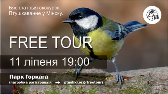 Free Walking Tour  