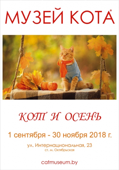 Куда сходить с ребенком на неделе 22-28 октября? Куда сходить с ребенком на неделе 22-28 октября?
