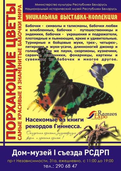 Куда сходить с ребенком на неделе 22-28 октября? Куда сходить с ребенком на неделе 22-28 октября?