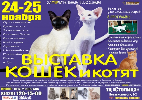 Куда пойти с ребенком на неделе 19-25 ноября? Куда пойти с ребенком на неделе 19-25 ноября?