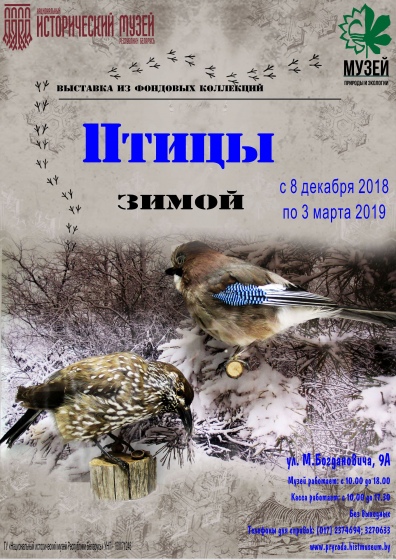 Выставка «Птицы зимой» Выставка «Птицы зимой»