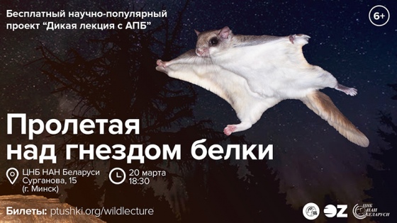 Куда сходить с ребенком на неделе 18-24 марта? Куда сходить с ребенком на неделе 18-24 марта?