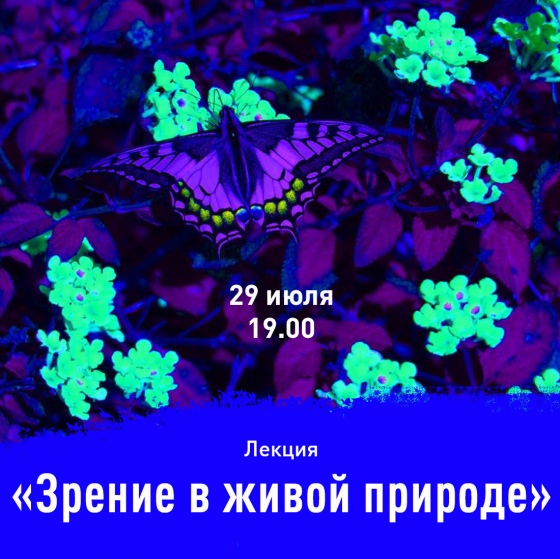 Куда сходить с ребенком на неделе 29 июля - 4 августа? Куда сходить с ребенком на неделе 29 июля - 4 августа?