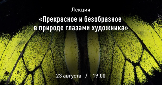 Куда сходить с ребенком на неделе 19-25 августа? Куда сходить с ребенком на неделе 19-25 августа?
