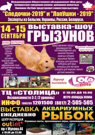   ,     -2019