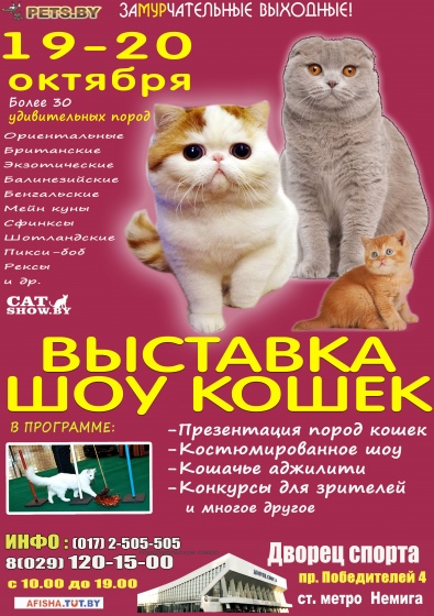 Выставка-шоу кошек «Осень с кэтшоу» Выставка-шоу кошек «Осень с кэтшоу»