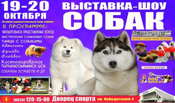 Выставка «Осень с Догшоу-2019» Выставка «Осень с Догшоу-2019»