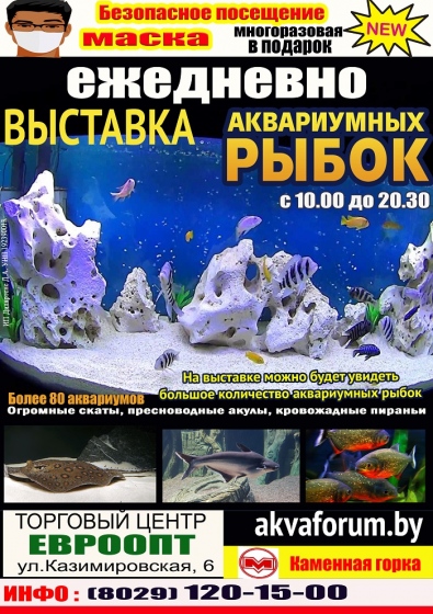 Выставка аквариумных рыбок «Аквафорум – 2020» Выставка аквариумных рыбок «Аквафорум – 2020»