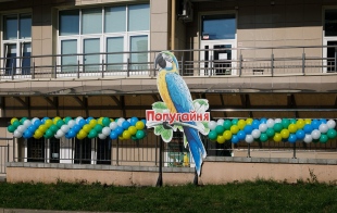 Попугайня Попугайня