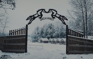 Конное ранчо "Green Ranch" Конное ранчо "Green Ranch"