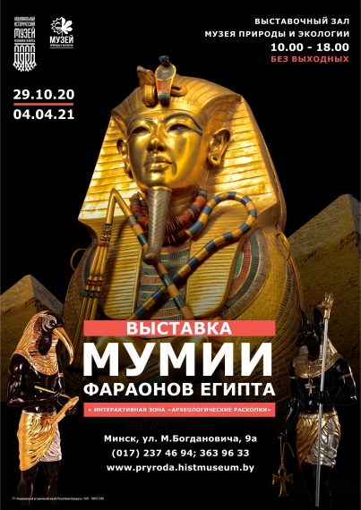Куда сходить с ребенком на выходные 5-7 февраля? Куда сходить с ребенком на выходные 5-7 февраля?