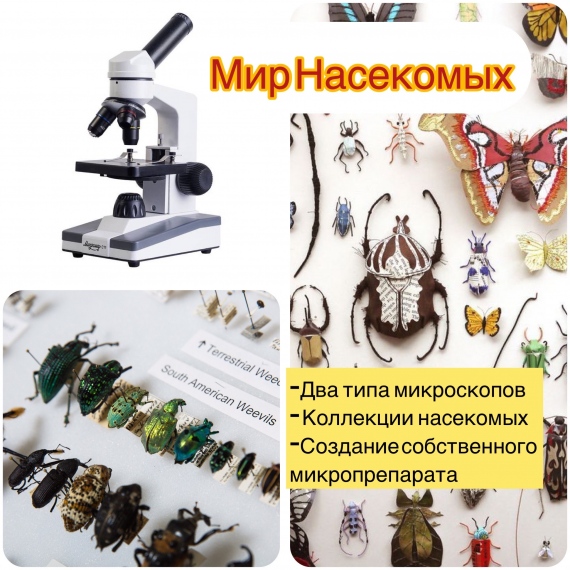 Куда сходить с ребенком на выходные 12-14 февраля? Куда сходить с ребенком на выходные 12-14 февраля?