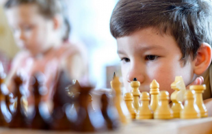 ������� ��������� ����� "���� �������"