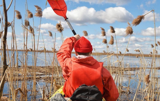 ����� � ����: ������ �� ��������� �� ����� ��������