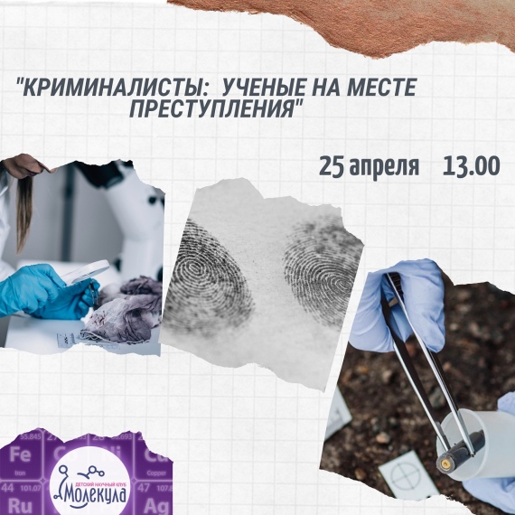 Куда сходить с ребенком на выходные 23-25 апреля? Куда сходить с ребенком на выходные 23-25 апреля?