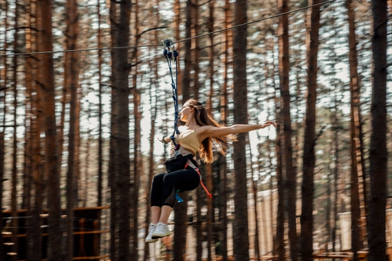 ,   :    Adventure Park